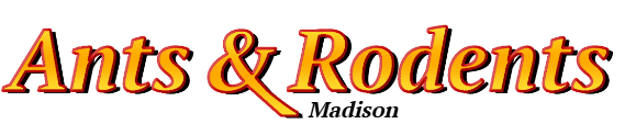 Madison Ant Exterminator & Rodent Control Company Logo